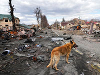 New York Times: спутниковые снимки показывают, что мертвые тела на улицах Бучи лежали до ухода российских военных