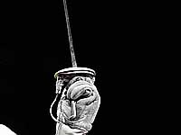 Чемпионат мира среди кадетов. Рапирист из Кувейта отказался выйти на поединок с израильтянином