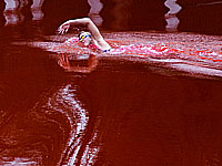 Олимпийская чемпионка совершила 