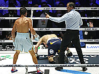 Бокс. Геннадий Головкин нокаутировал японца в чемпионском бою