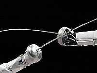 Чемпионат мира по фехтованию. Израильтянин завоевал серебряную медаль