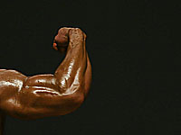 На 45-м году жизни во время тренировки умер один из самых известных бодибилдеров мира