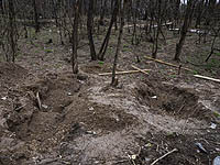 По данным ООН, с начала войны в Украине погибли 1982 мирных жителя