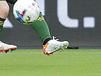 Чемпионат Израиля. Хайфский