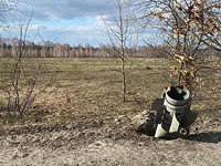 Генштаб ВСУ: армия РФ ведет наступление вдоль всей линии фронта на юге и востоке Украины