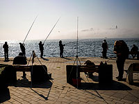 Остановлено судоходство по Босфору