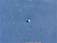 Мониторинговая группа: из Филадельфиского коридора обстрелян израильский населенный пункт