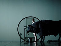 Transverse Orientation – прощание с мифом в акте художественной магии