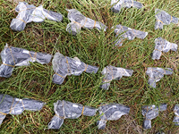 ЦАХАЛ и полиция предотвратили контрабанду десятков единиц оружия из Иордании