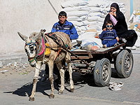 США предупредили ООН: война в Украине угрожает палестинцам голодом