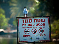 Из-за сильных ветров, которые атакуют побережье Кинерета, отдых на воде может быть опасен