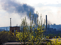 Источник: режим прекращения огня на 