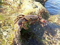 Прогноз погоды на 9 мая: повышение температуры, переменная облачность