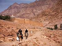 ИГ взяло ответственность за убийство 11 военнослужащих на Синае