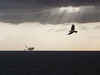 У берегов Израиля найдено новое месторождение газа