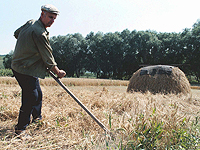 Минобороны Украины: Россия вывозит из страны украденное зерно и овощи