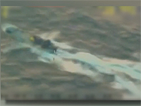 Разрешено к публикации: в апреле была пресечена попытка контрабанды компонентов оружия в Газу