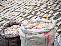 В Ираке конфискована рекордная партия каптагона –