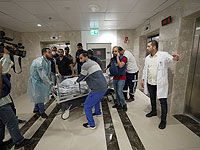 Итоги судмедэкспертизы: журналистка 