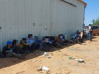 Полиция и МАГАВ задержали за неделю почти 1300 палестинских нелегалов