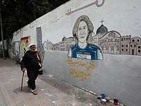 Штайе о расследовании гибели Ширин Абу Аклэ: 