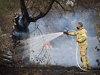 Жара и сильный сухой ветер привели к пожарам на территории Израиля