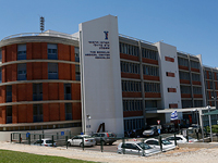 Минздрав: подозрение на второй случай заболевания оспой обезьян в Израиле