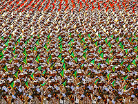 Politico: Байден решил не исключать КСИР из списка террористических организаций