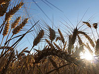 Путин: в обмен на отмену санкций Россия готова к экспорту зерна и удобрений