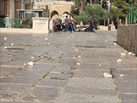 В районе мечети Аль-Акса на Храмовой горе начались беспорядки