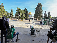 Столкновения на Храмовой горе: арабы бросают бутылки, евреи молятся и поднимают флаги