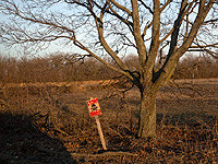 МВД Украины: на разминирование украинских территорий понадобится до 10 лет