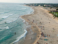 Исследователи из Хайфского университета провели 