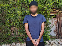 Житель Эйн Рафа подозревается в том, что мочился на крышу мечети Аль-Акса и бросал камни в полицейских