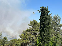 Пожар под Иерусалимом: в районе Мевасерет-Цион эвакуируют жителей