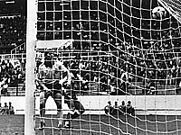 Легендарный алжирский футболист приговорен к тюремному заключению