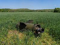 ВТО проводит конференцию министров, посвященную продовольственному кризису