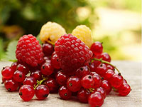 Смородина и малина: в Израиле подоспели долгожданные ягоды