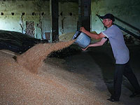 Украина создаст постоянные маршруты экспорта зерна через Польшу и Румынию