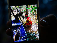 На Амазонке найдены личные вещи пропавшего британского исследователя и его спутника