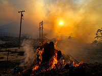 Калифорния в огне: пожар в Райтвуде за сутки увеличился почти в 10 раз. Фоторепортаж