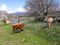 В Южной Осетии отменен референдум о присоединении к России