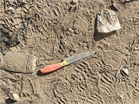 Попытка вооруженного нападения на солдата к северу от Хеврона: террористка застрелена