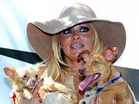 Актрисе и модели Памеле Андерсон – 55. Фотогалерея