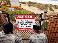 В Хургаде женщина скончалась после нападения белой акулы