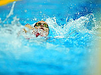 FINA оставила в силе решение об отстранении российских пловцов