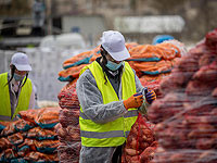 Минфин и фермеры сообщили о достижении договоренностей по сельхозреформе