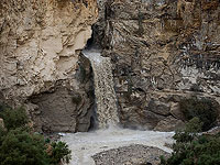 Консорциум