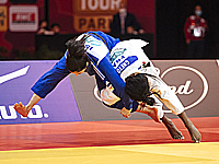 Дзюдо. Турнир 