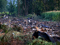 Разбившийся в Греции украинский самолет вез оружие в Бангладеш